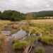A new flow: pioneering UK river restoration declared a success