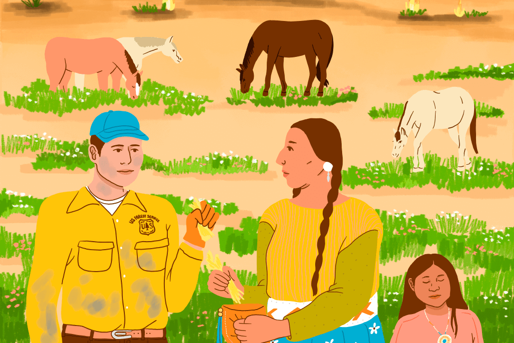 The art of fire: how ancient forest management practices are finally being recognised - Positive News