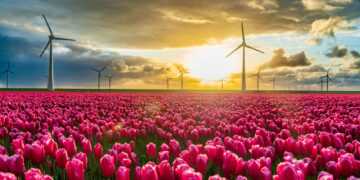 Total net greenhouse gas emissions in the EU dropped by 8% last year