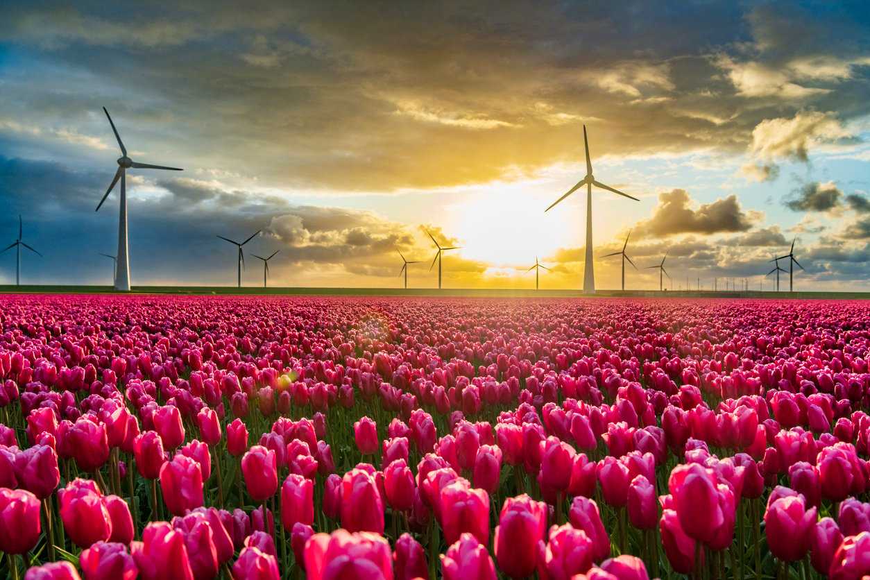 Total net greenhouse gas emissions in the EU dropped by 8% last year