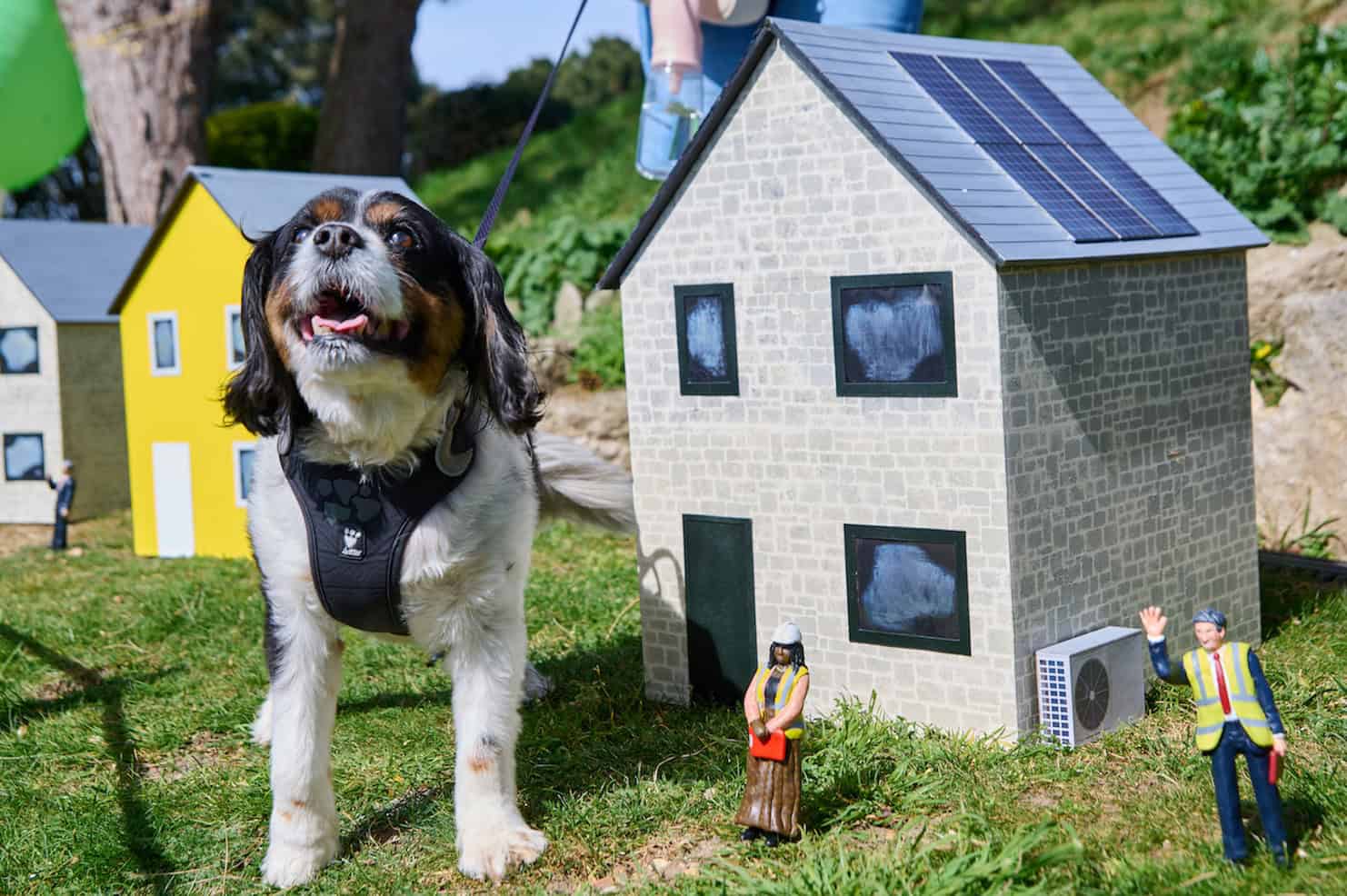 Beacon of light: the model village retrofitted into a tiny renewables kingdom