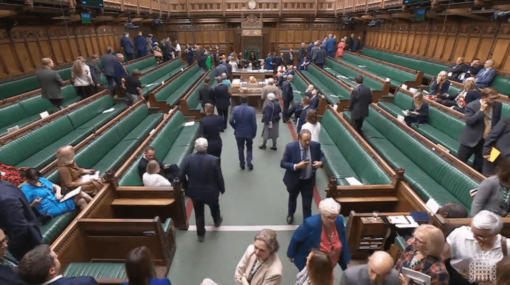 How every MP voted on abortion decriminalisation