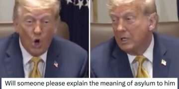 Donald Trump is confusing 'seeking asylum' with 'insane asylum' so Twitter threw the dictionary at him - 17 funniest and most brutal takedowns