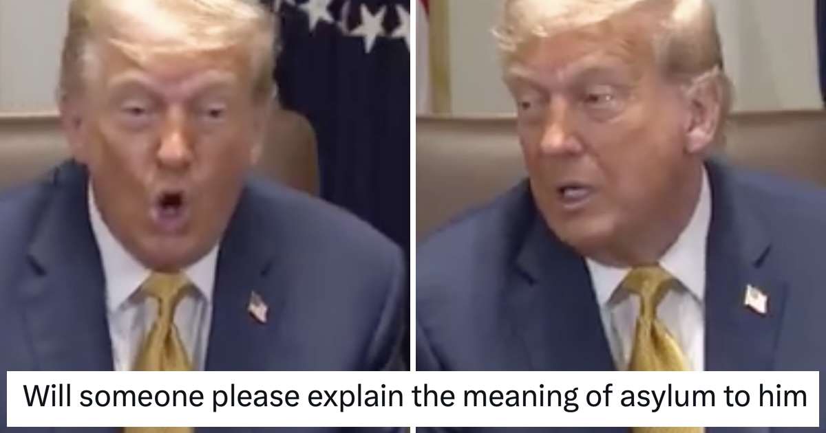 Donald Trump is confusing 'seeking asylum' with 'insane asylum' so Twitter threw the dictionary at him - 17 funniest and most brutal takedowns