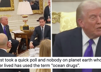 Donald Trump said 'ocean drugs' is a thing people say and these 15 stone-cold sober replies dragged him back to shore
