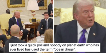 Donald Trump said 'ocean drugs' is a thing people say and these 15 stone-cold sober replies dragged him back to shore