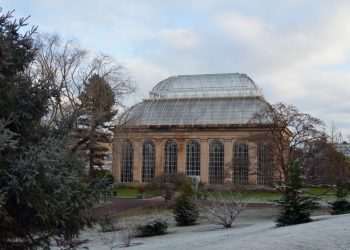 Edinburgh Botanics digitise “game-changer” archives dating back 125 years