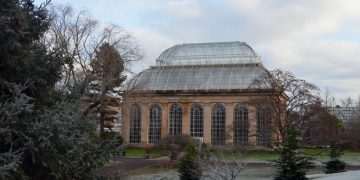 Edinburgh Botanics digitise “game-changer” archives dating back 125 years