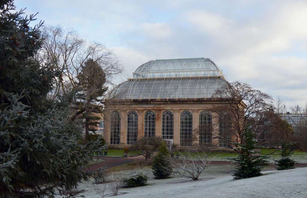Edinburgh Botanics digitise “game-changer” archives dating back 125 years