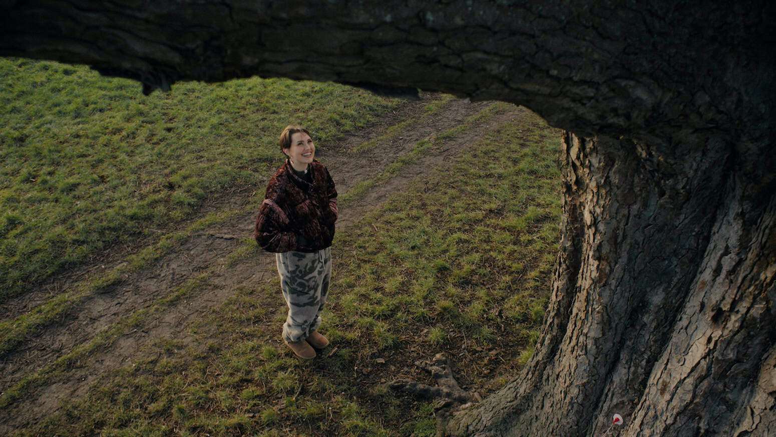 Nature’s voice? Trees speak up in AI-powered experiment