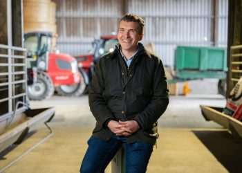 Scots firm bags grant to help diagnose osteoarthritis earlier in dogs