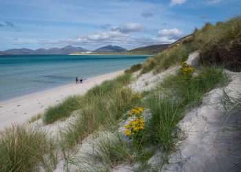 Study reveals Hebridean roots risk cancer-causing genetic disease