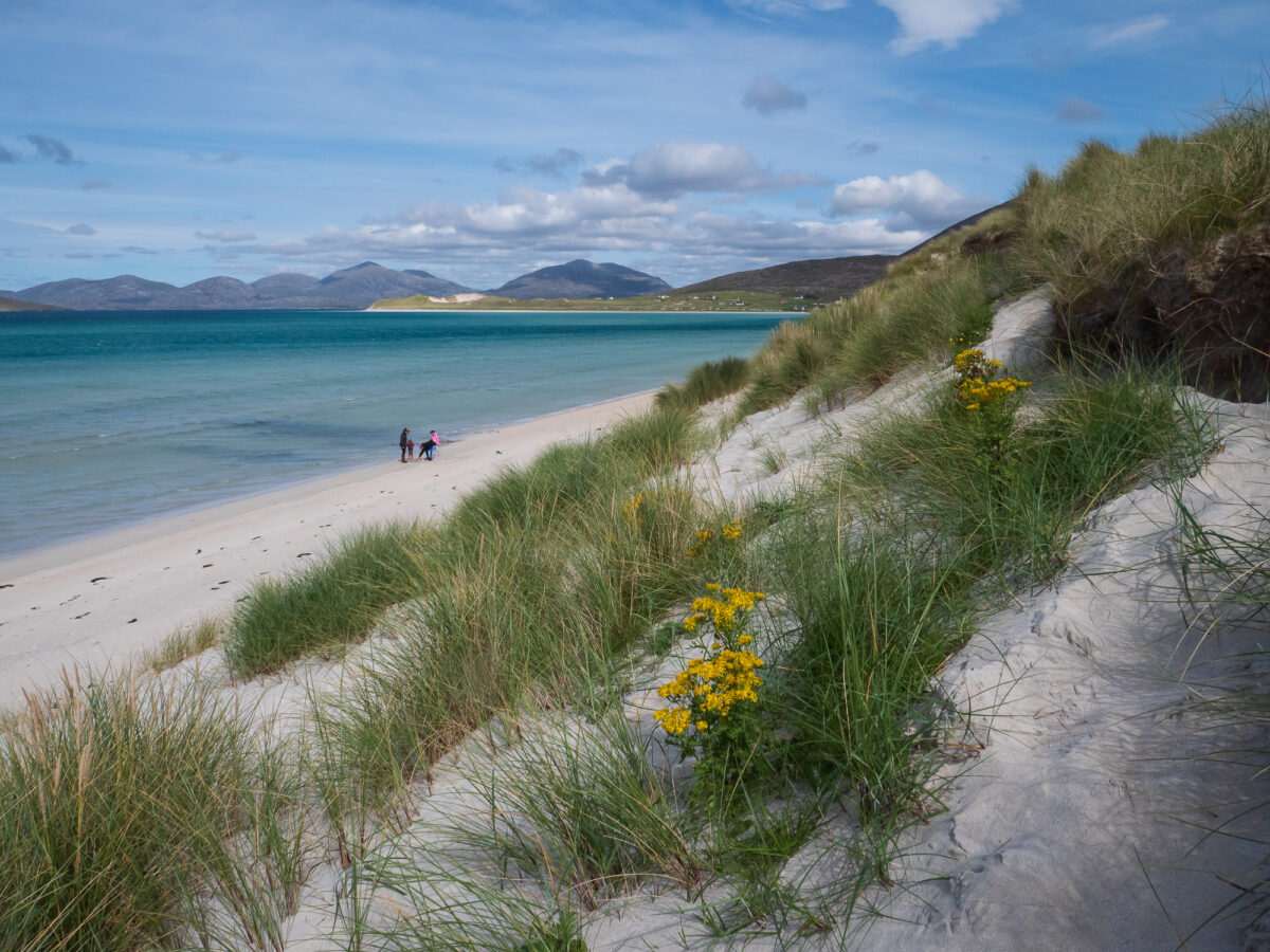 Study reveals Hebridean roots risk cancer-causing genetic disease