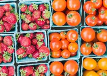 Scientists study how crops remember extreme weather changes