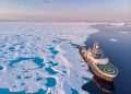 Arctic hits chemical 'tipping point' as ice loss wipes out key food chain nutrient