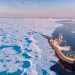 Arctic hits chemical 'tipping point' as ice loss wipes out key food chain nutrient
