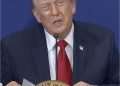 Donald Trump said there was no such word as 'affordability' and no-one's put the dick into dictionary quite like him - 17 especially eloquent takedowns