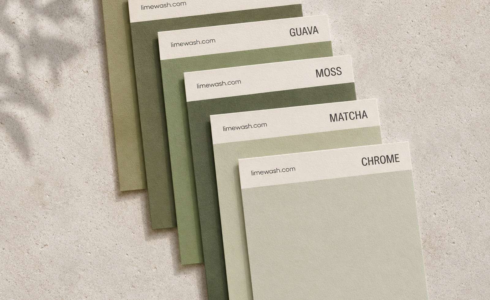 A considered range of natural greens demonstrates how authentic limewash can deliver both subtle colour and rich visual depth.